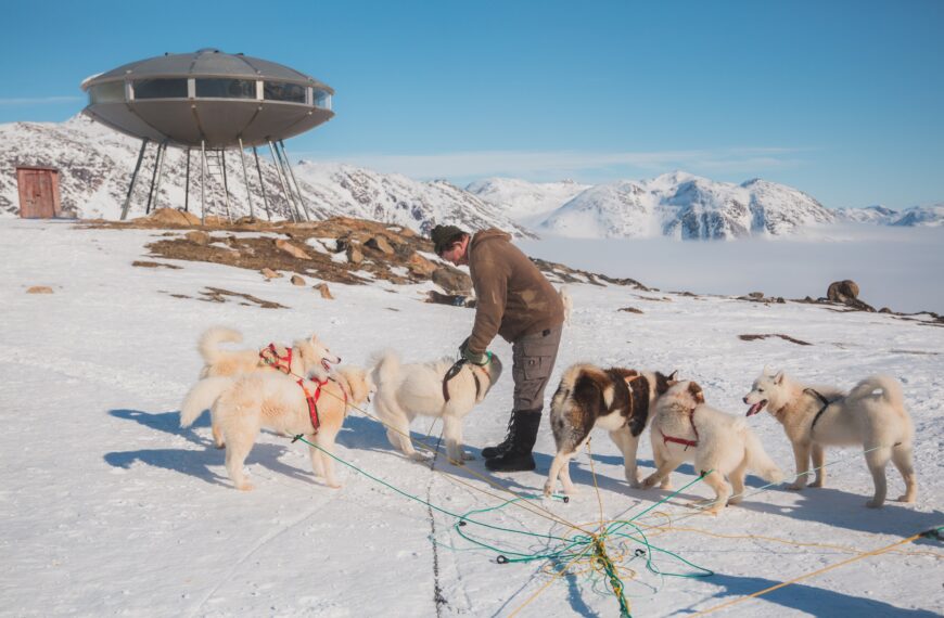 Preparing the dogsled at the UFO near Sisimiut - West Greenland