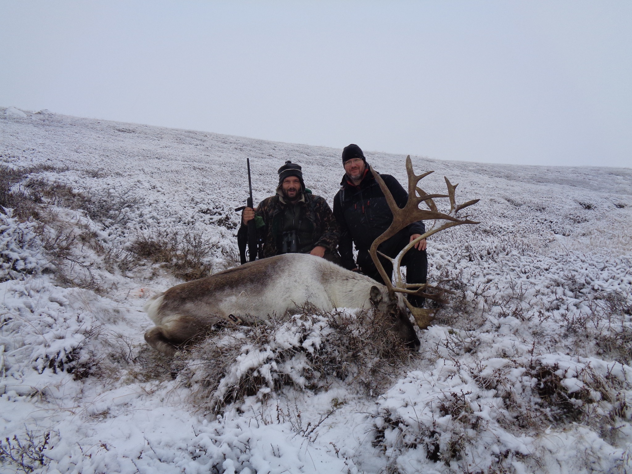 Trophy Hunting Greenland Destination Arctic Circle